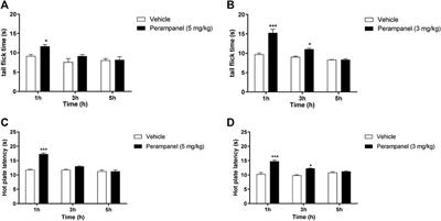 Analgesic and Anti-Inflammatory Effects of Perampanel in Acute and Chronic Pain Models in Mice: Interaction With the Cannabinergic System